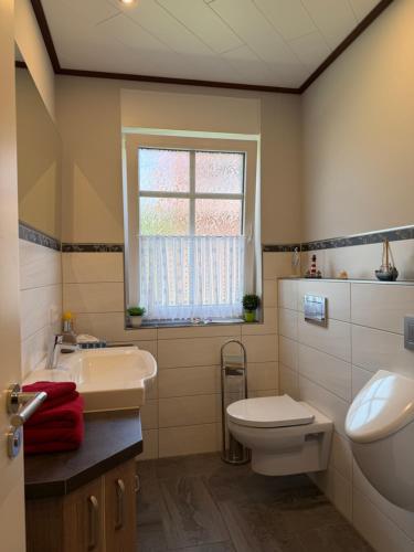 a bathroom with a toilet and a sink and a window at Kleine Weite-Das Schwedenhus in Landesbergen