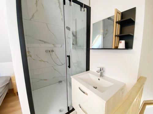 a bathroom with a sink and a shower at Le Duplex Port & Plage in Dieppe