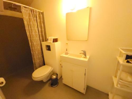 a bathroom with a toilet and a sink and a mirror at Kaldbakur Guesthouse in Heimaland