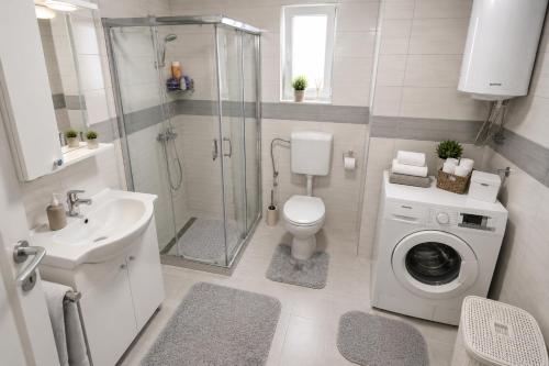 a bathroom with a shower toilet and a sink at Planinska Oaza in Pale