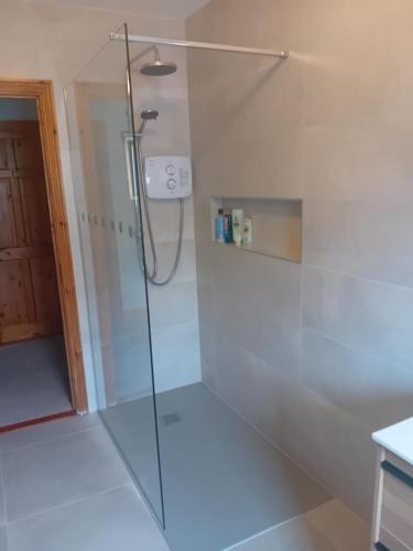 a shower with a glass door in a bathroom at Old Fort Lodge in Sligo