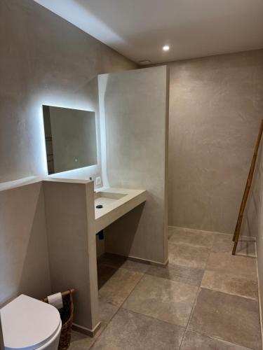 a bathroom with a toilet and a sink and a mirror at Rez-de-villa 65m2 climatisé in Propriano