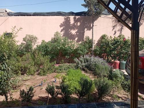 a garden with bushes and trees in front of a building at Kaltouma in Sidi Bibi
