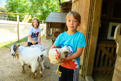 a young boy holding two goats in a barn at Hotel Gasthof Kröll, 1x Großglockner kostenlos, Kinder bis 12 Jahre frei, Restaurant mit regionaler Küche in Niedernsill