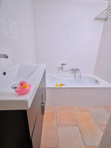 a bathroom with a pink rubber duck sitting on a sink at Gezinsvriendelijk natuurhuis De Kraanvogel in Appelscha