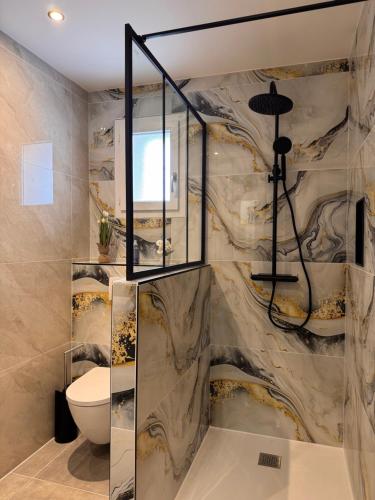 a bathroom with a shower and a toilet at 105 - Voiron centre - DeTassigny in Voiron