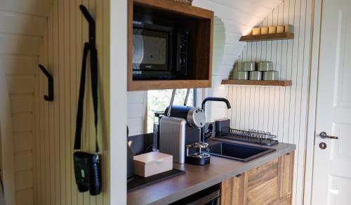a kitchen counter with a sink and a microwave at Les Nuits de Thoiry in Thoiry