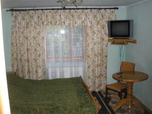 a bedroom with a bed and a table and a television at Shelter Pid Lypamy in Mykulychyn