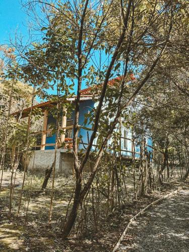 a house in the middle of a forest of trees at Girassóis do Vale - Chalés no Vale do Capão in Caeté-Açu