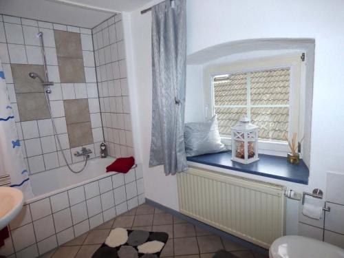 a bathroom with a shower and a sink and a window at Relaxen am Nationalpark Eifel in Ahrhütte