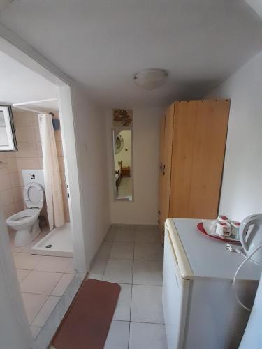 a bathroom with a sink and a toilet in it at Iliada Skiathos rooms in Skiathos