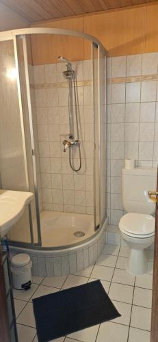 a bathroom with a shower and a toilet at Jasmin mit Sauna und Schwimmbad in Hohegeiß