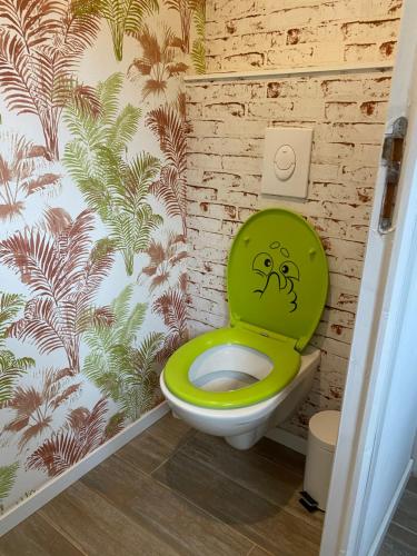 a bathroom with a green toilet with a smiley face drawn on it at Le Gîte de Brigitte ! in Saint Die