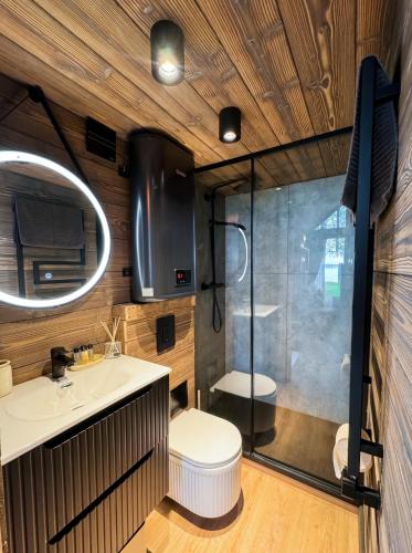 a bathroom with a shower and a toilet and a sink at Beržų oazės spa in Molėtai