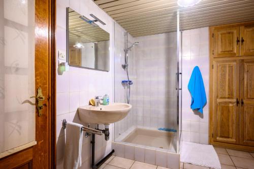 a bathroom with a sink and a shower at Gîte Éclat De Soleil in Beblenheim