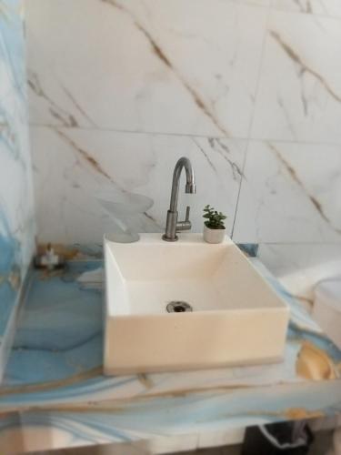 a bathroom sink with a potted plant on it at Suites perto praia in Ubatuba