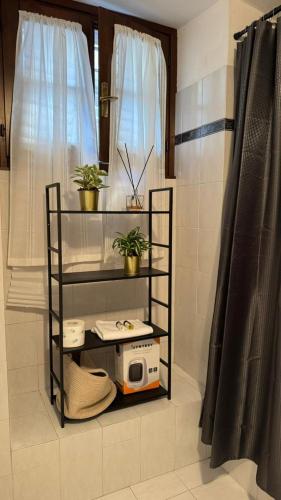 a shelf in a bathroom with a radio and plants at Terra intelvi in San Fedele Intelvi