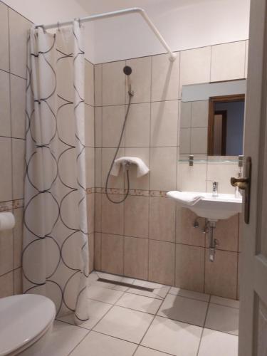 a bathroom with a shower and a toilet and a sink at Boróka Panzió in Parád