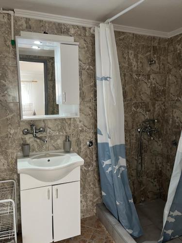 a bathroom with a sink and a shower at Villa Milovic, appartements les pieds dans l'eau! in Radovici