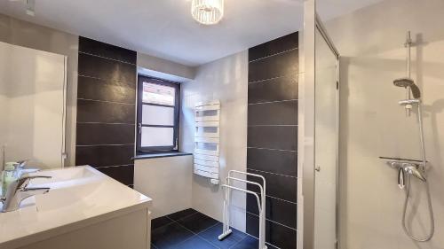 a bathroom with a shower and a sink at Le Zen in Eguisheim