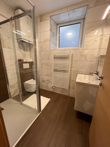 a bathroom with a shower and a toilet and a sink at Apartma 35 in Soča