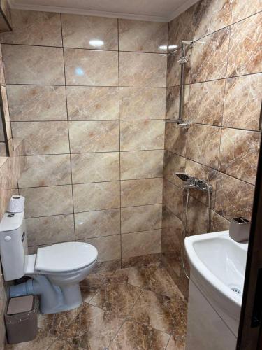 a bathroom with a toilet and a sink at Guesthouse Classic in Dospat