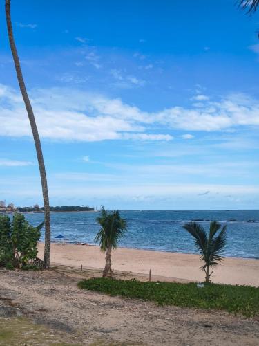 a beach with two palm trees and the ocean at Aconchego das Borboletas in Salvador