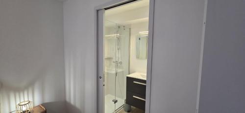 a bathroom with a shower and a sink and a mirror at Klass Loft Kemperle in Quimperlé
