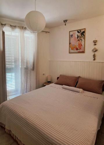 Apartment Zlatko