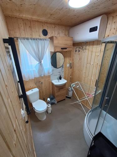 a bathroom with a toilet and a sink and a shower at Domki Marianowo in Marianowo