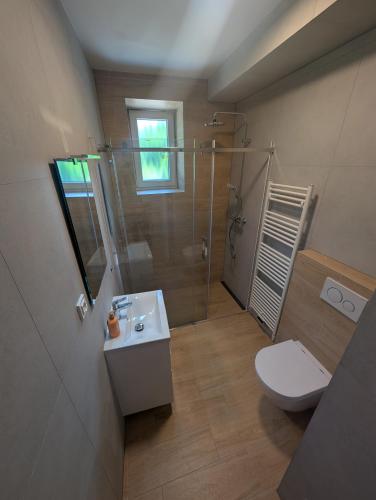 a bathroom with a toilet and a shower and a sink at Apartmány v Propadání in Jedovnice