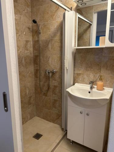 a bathroom with a sink and a shower at Raisa in Ocna Sibiului