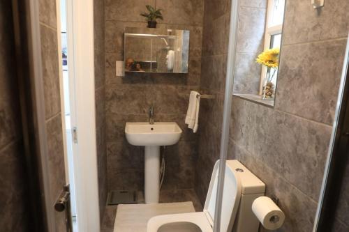 a small bathroom with a sink and a toilet at Comfy Guest suite in Dartford