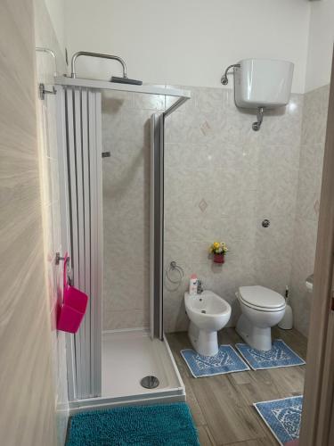 a bathroom with a shower and a toilet at SA DOA in Baratili San Pietro