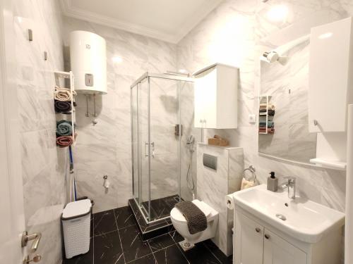 a bathroom with a shower and a toilet and a sink at Apartman Petkov in Palić