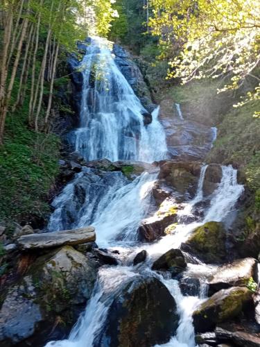 a waterfall in the middle of a forest at Casa Bisalta relax in San Bartolomeo