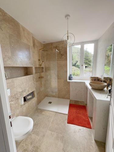 a bathroom with a toilet and a shower and a sink at Escapade Lotoise in Cahors