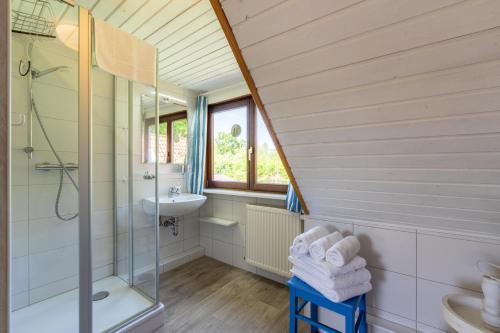 a bathroom with a shower and a sink at Lütt Kate Hemmelmark in Louisenberg