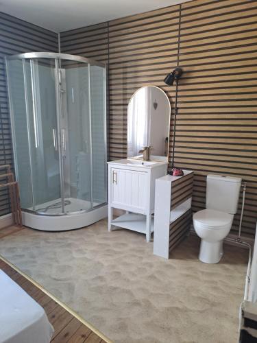 a bathroom with a shower and a toilet and a mirror at Gîte l'escapade in Crozant