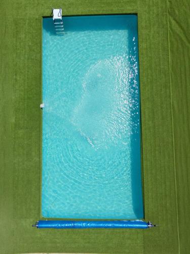 a pool of water with a dolphin in the water at Vikendica Garaski kutak sprat in Arandelovac