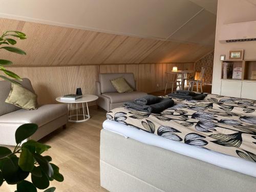 a bedroom with a large bed and a couch at Eleonora Bed & Breakfast in Kristinestad
