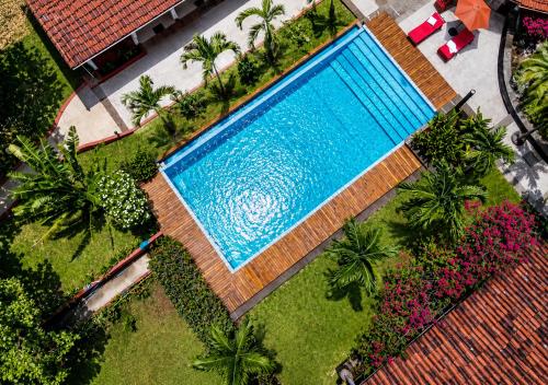 an overhead view of a swimming pool in a yard at Casa Mapache Pool and Breakfast Included near Tamarindo Beach in Tamarindo