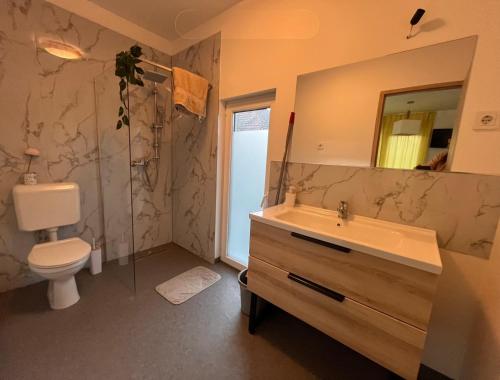 a bathroom with a sink and a toilet and a mirror at Mozaik Apartman in Kalocsa