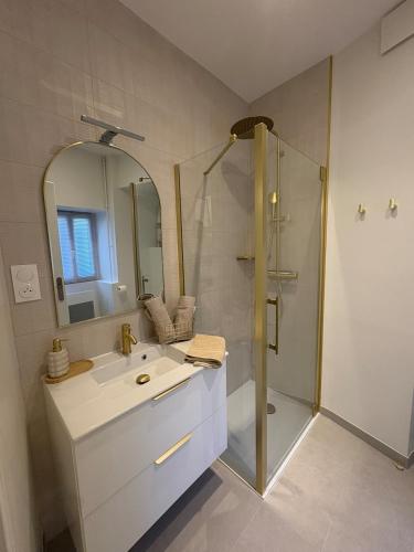 a bathroom with a shower and a white sink at Le Jaurès in Brie-Comte-Robert