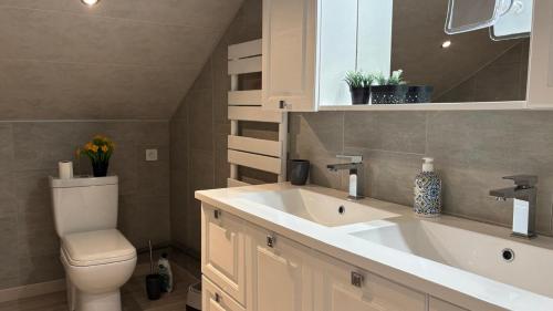a bathroom with a sink and a toilet and a mirror at Maison charmante en bordure de la Creuse in Glénic
