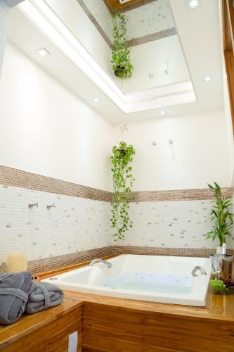 a bathroom with a bath tub with plants on the ceiling at Hotel e Pousada VIVÁ in Chapada dos Guimarães