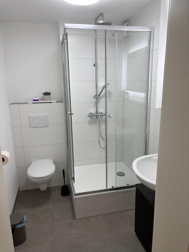 a bathroom with a shower and a toilet and a sink at Ferienwohnung Elli in Haiterbach