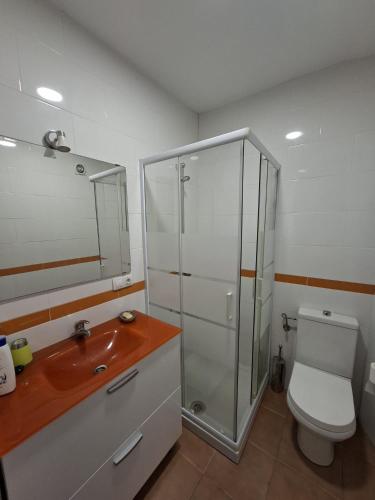 a bathroom with a shower and a toilet and a sink at Apartamento en Casa Celia in Orol