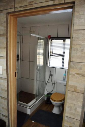 a bathroom with a shower and a toilet with a glass door at 22 Symmonds Studio in Melmoth