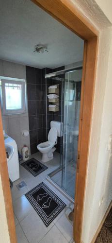 a bathroom with a glass shower and a toilet at Villa Miševići in Hadžići